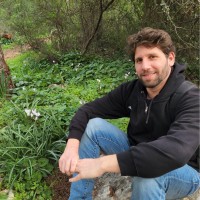 Ohad Naor
