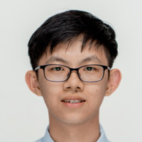 Teik Hwa Ong, Phd