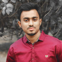 Mizan Hossain