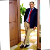 Wael mahmoud