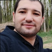 Onur Apis