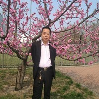 李东斌