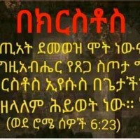 Zenach Aboaasly