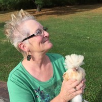 Sandi Ketterman