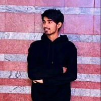 Andleeb Nemat