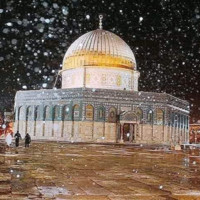 براء عصافرة