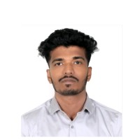 Vignesh Pandian N
