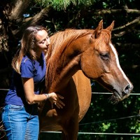 Rozenn LE GLOAHEC - EVAYA