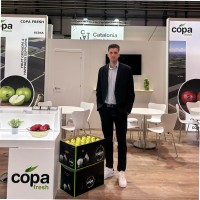 Xavier Casals Dolcet