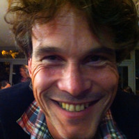 Maarten van Velthuijsen