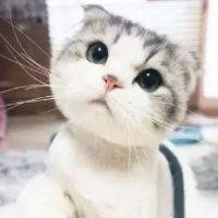 张海龙