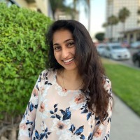 Damini Heera