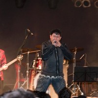 Banda Lda Lda