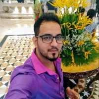 Mohanakrishnan D