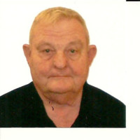 Joseph G Meinert