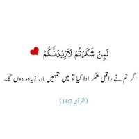 Tehzeeb Asad