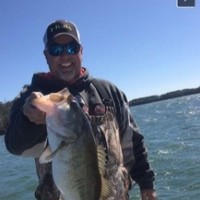 Joe Haynes
