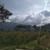 febry hendrayana