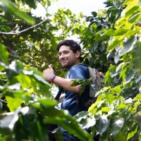 Ricardo Ibarra Zepeda