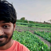 Krishna prasath