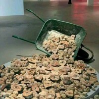 تركي الدياب