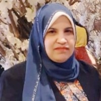Enas Saleh PhD, Lead Auditor ISO QMS, (CQI-IRCA)