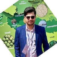 Abhishek Tripathi