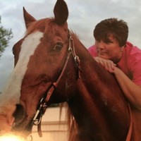 Terri Collier