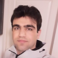 Naseh Amini