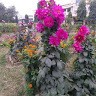 Indrajit Kumar