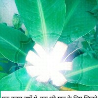 Raj Sharma