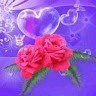 Reena Aneesh