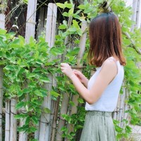 Lily wei