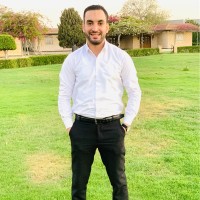 Ahmed Ellithy