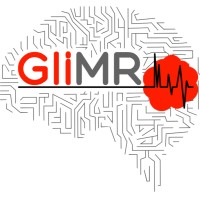 Glimr Cost Action