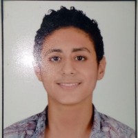 Mohammed Moustafa mady ahmed abo el hassen