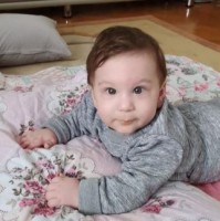 Ayaz Emir Torun