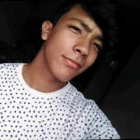 Carlos D'Amelio