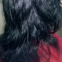 fatmi S.