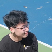 Ho Xuan Anh Tu