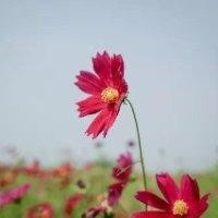 覃永仕