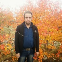 mohamad saeadi