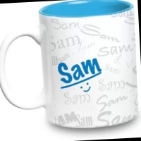 Sam Roberts