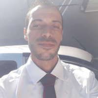 Luiz Ricardo Budal Arins