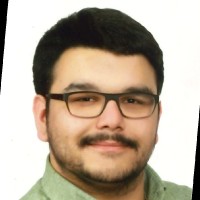 Ismet N. Dogan