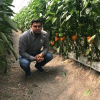 Miguel Angel Zarate Villanueva
