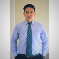 Aries Ardhanis