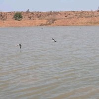 Bhavani Singh