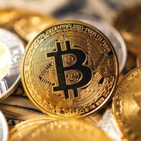 Cryptobulls🤑 Investment