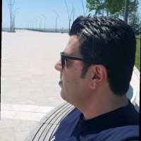 Hamed Ahari
